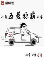开五菱车的电影